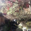 옛터민속박물관 이미지