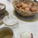 라이트바디해독센터 | 대전바디관리 “라이트바디해독센터” 온열 해독기 찐 후기!