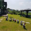 엠엔케이 이미지