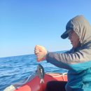 이득등대횟집 이미지