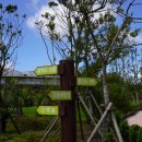 선흘에 머물다 이미지