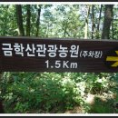 2011년8월21일 홍천 금학산 이미지