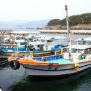 닭섬(계도) 티스토리