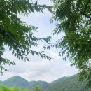 대청호카페 금린 이미지