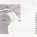 측두하악 관절통(Temporomandibular Joint Pain) 이미지