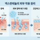 신명약국 네이버블로그