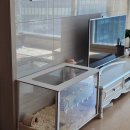 달빛 햄스터리 서울점 이미지