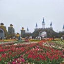 태안양계장제2농장 | [태안여행]2026 태안세계튤립꽃박람회 : 4월 11일 토요일 개화 현황과 주차, 부대시설 후기