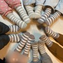청주 펜션 모두의 정원 한옥스테이 상세 후기 가족 강아지 동반 환갑 여행 내돈 예약 오픈런 성공 너무...