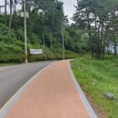 사라수변공원입구 이미지