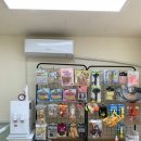 강쥐애견샵 이미지