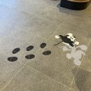 죽림해안로가로수 | [통영 죽림 신상카페] 스타벅스