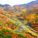 상촌마을회관 이미지