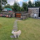 북촌리1925 이미지