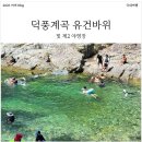 토토큰바위 야영장 | 물놀이 인생 계곡! 강원도 삼척 덕풍계곡 유건바위와 덕풍게곡 제2야영장 후기 (Feat. 계곡은 개골개골)