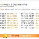 Re:undergraduate student 에 대해서 궁금합니다. 이미지