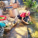 송가농장 이미지