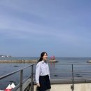 칠암사계 | 부산 기장 칠암사계 카페 후기 | 연화리 등대·송정해수욕장 드라이브 코스