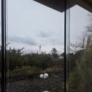 B Stay | ​[제주 숙소] 협재의 풍경을 빌려오다, '협재차경 별뉘' Stay B 2박 투숙 후기