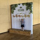 아이레벨트라움벨트 | 이영란의감성놀이터&#39;나무야나무야&#39;, 파주나무야나무야