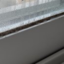 수레실길 이미지