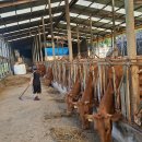 여물소농장 이미지