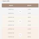 가리원 | 불가리 비제로원 반지 웨딩링 후기(feat. 3밴드, 4밴드 로즈골드)