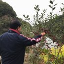 연곡호수펜션 이미지