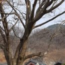 영주 부석사 당간지주 이미지