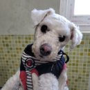 중앙공원로 이미지