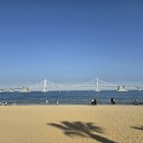 영이언니네 | 부산 광안리 1박2일 여행 미림양장, 동면식밀면, 퍼지네이블