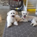 멍스테이션 이미지