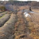 내기농장 이미지