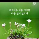아량 이미지