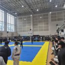 컴뱃주짓수 | 퀸즈컴뱃 여성 주짓수 대회 관전 후기