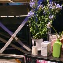 예술빨래방 이미지