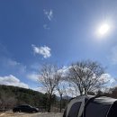 [포천 여행]- “유식물원캠핑장후기” /캠핑여행기/캠핑팁/캠핑요리/애견가능캠핑장/숲속캠핑장