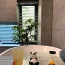 세신샵 스파플러스 이미지
