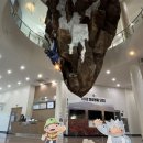 속초써밋베이해변 이미지
