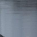 동부반점 이미지