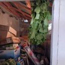 대성이용소 이미지