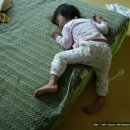 섬진다원 이미지