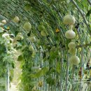 초막골 생태공원 이미지