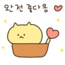 프리커스 이미지
