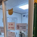 (주)더파크모터스 | 🐷 포천 주파크 아이랑 다녀온 후기｜주말 방문 꿀팁 + 실내 동물체험 솔직리뷰