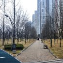 동탄 여울공원 족구장 이미지