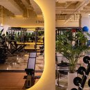 분당내곡로 이미지