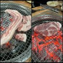UR(용인시)-[오포로]-하-1 | 황소고집 능원1호점 다녀온 후기!!👍
