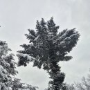 삼수령 휴게소 이미지