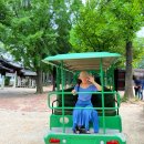 도담삼봉 자전거길 | 10월 국내여행지 추천 가평 남이섬 추석연휴 관광지 교복대여까지